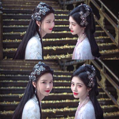 双生花 *月鳞绮纪 ​​​