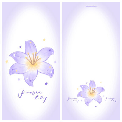 紫色百合花壁纸+套图