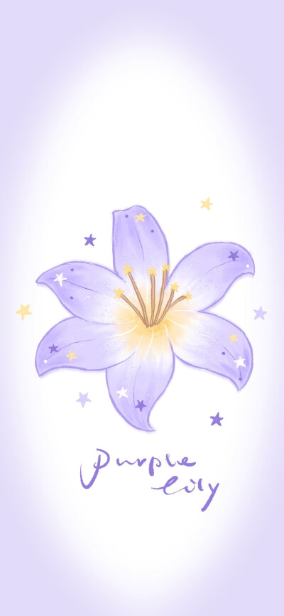 紫色百合花壁纸+套图