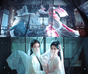 双生花 *月鳞绮纪 ​​​