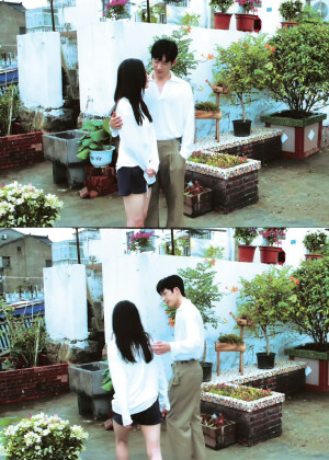 钢铁森林 ｜蔡文静 ​​​