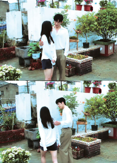 钢铁森林 ｜蔡文静 ​​​