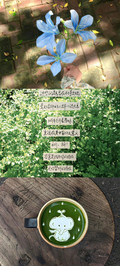 壁纸·图源微博