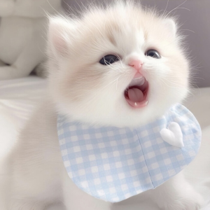 萌