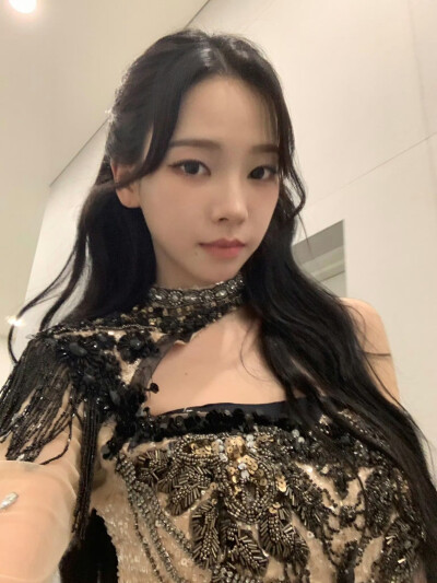 aespa karina柳智敏