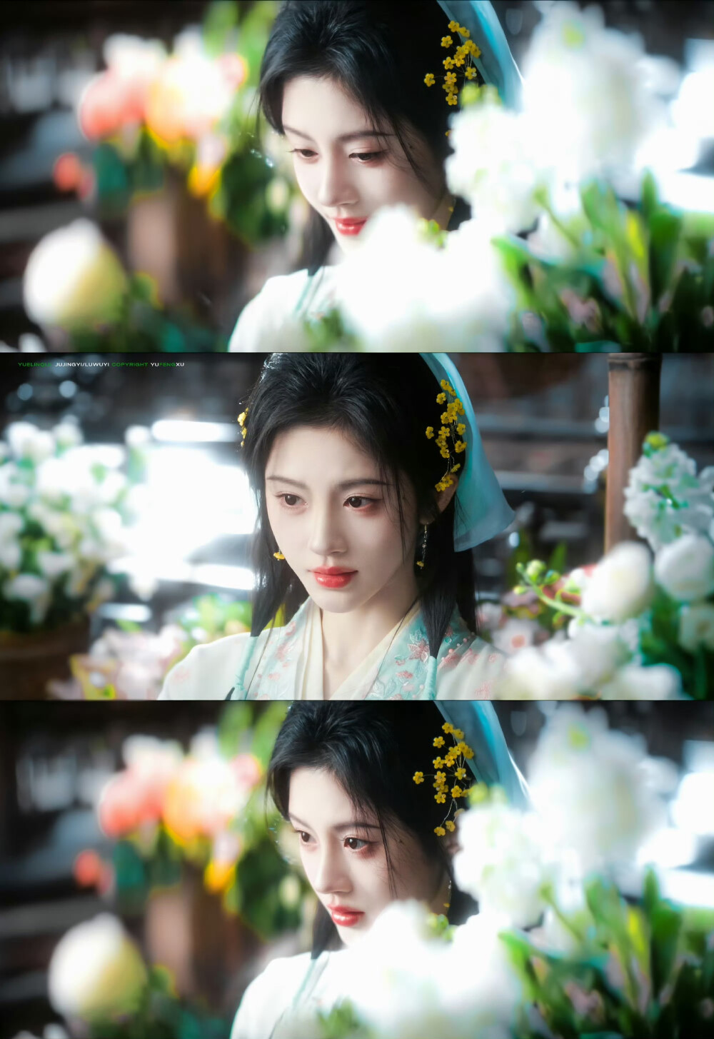 鞠婧祎