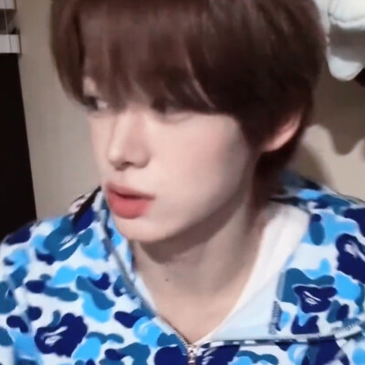 韩振