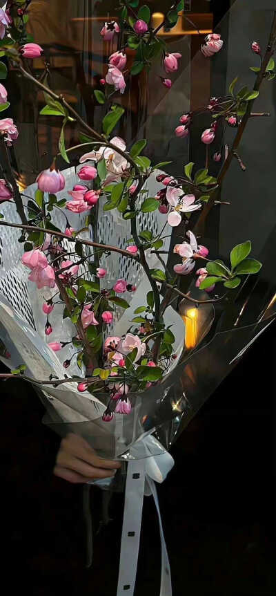 {檐花落}