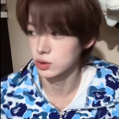 韩振