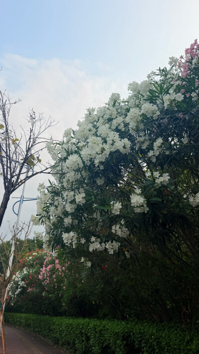 壁纸