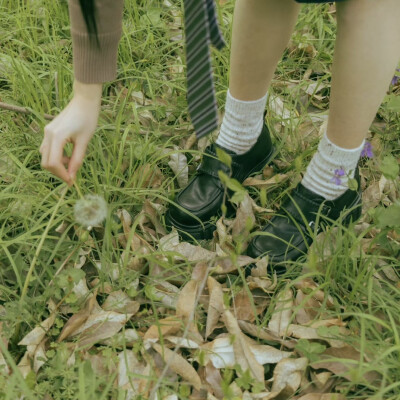 鹤秋可二改 不用注明