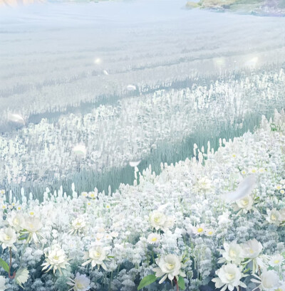 齐司礼昙花背景图