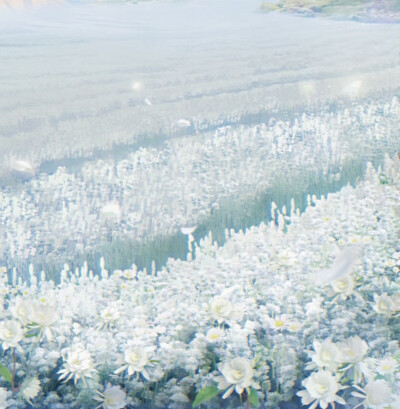 齐司礼昙花背景图