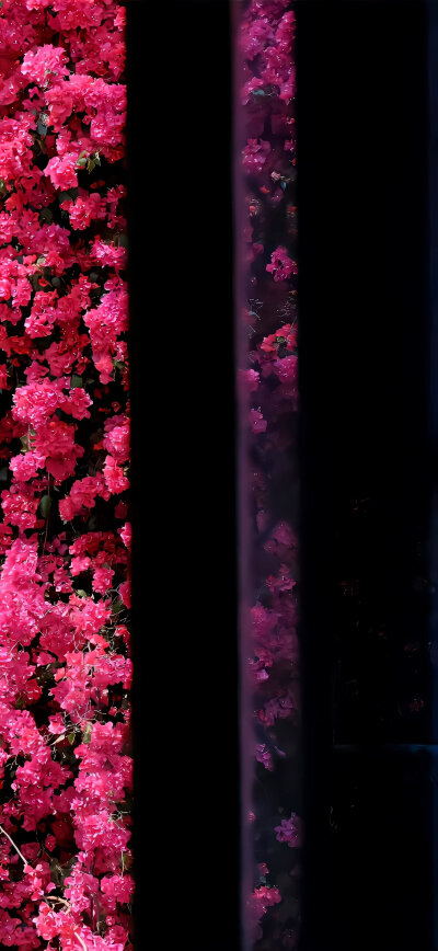 {檐花落}