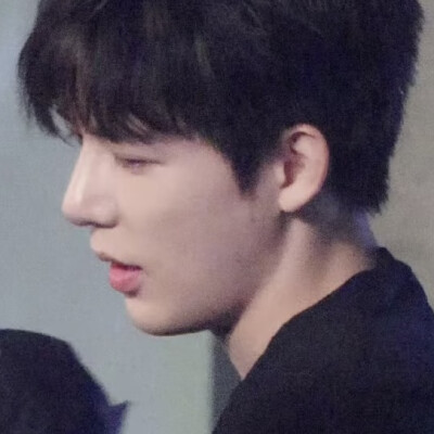 不愿见你掉眼泪