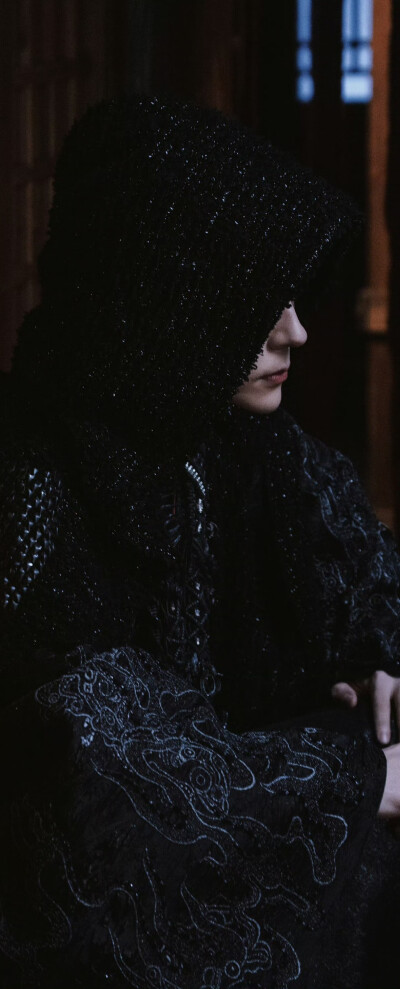 魏哲鸣《白日提灯》晏柯