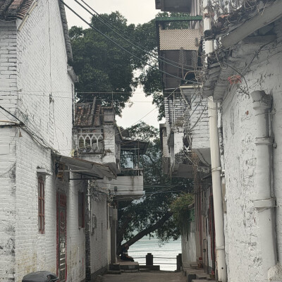 壁纸