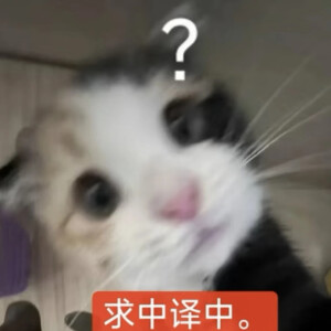 猫猫表情包