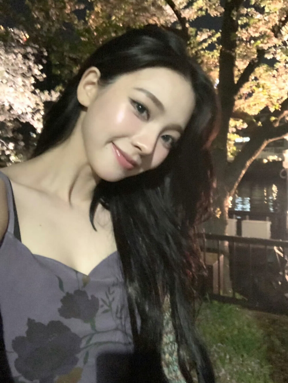 柳智敏