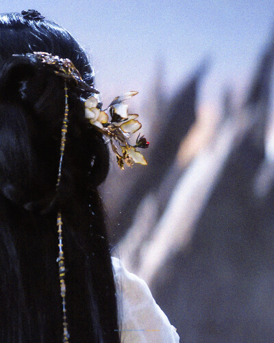 陈都灵雾妄言 月鳞绮纪
cr：一棵楠树