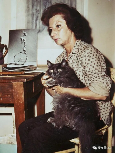 Remedios Varo Uranga 雷梅迪奥斯 瓦若 乌兰加 ​​​