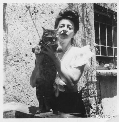 Remedios Varo Uranga 雷梅迪奥斯 瓦若 乌兰加