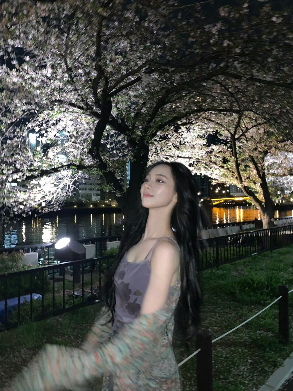 柳智敏