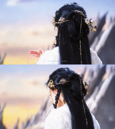 陈都灵雾妄言 月鳞绮纪
cr：一棵楠树