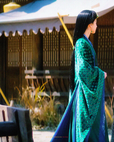 陈都灵雾妄言 月鳞绮纪
cr：一棵楠树