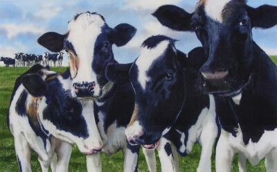 美国著名画家丹尼·邦德 Denny Bond生活在美国宾夕法尼亚州，他是一位屡获殊荣的水彩画家和插画家。 ​​​