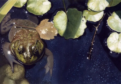 美国著名画家丹尼·邦德 Denny Bond生活在美国宾夕法尼亚州，他是一位屡获殊荣的水彩画家和插画家。