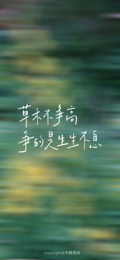 文字壁纸/
cr.@半颗荔枝i