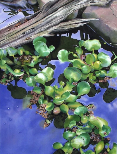 美国著名画家丹尼·邦德 Denny Bond生活在美国宾夕法尼亚州，他是一位屡获殊荣的水彩画家和插画家。