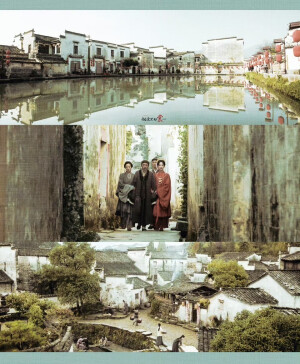 杨紫 家业