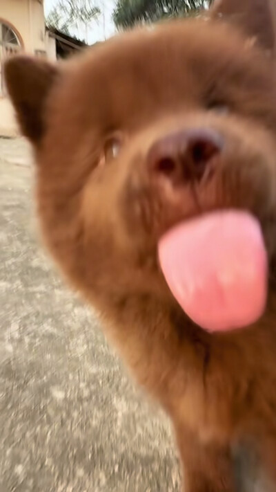 ～