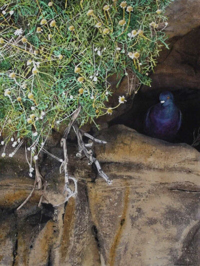 美国著名画家丹尼·邦德 Denny Bond生活在美国宾夕法尼亚州，他是一位屡获殊荣的水彩画家和插画家。 ​​​