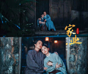 杨紫 家业
