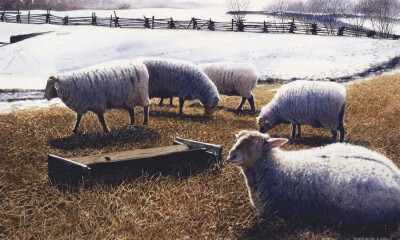 美国著名画家丹尼·邦德 Denny Bond生活在美国宾夕法尼亚州，他是一位屡获殊荣的水彩画家和插画家。 ​​​