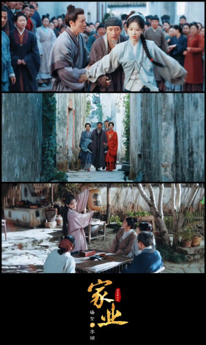 杨紫 家业
