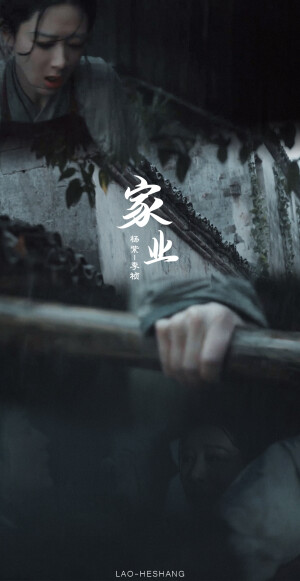 家业 杨紫