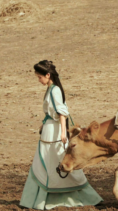 嫁金钗 魏娆 君黛 田曦薇