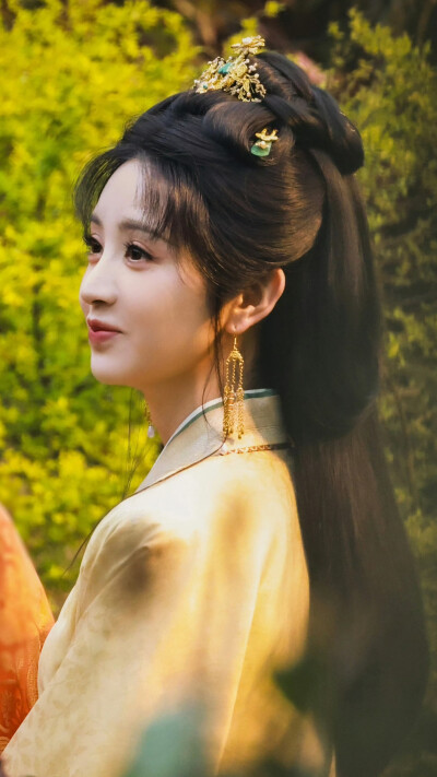 嫁金钗 魏娆 君黛 田曦薇