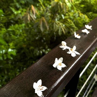 图源ks：偷喝汽水