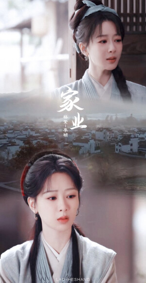 家业 杨紫