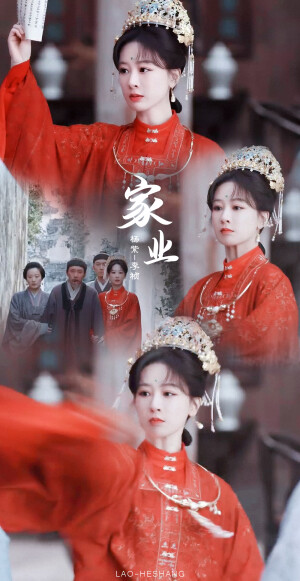 家业 杨紫