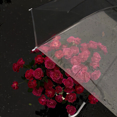 图源ks：偷喝汽水