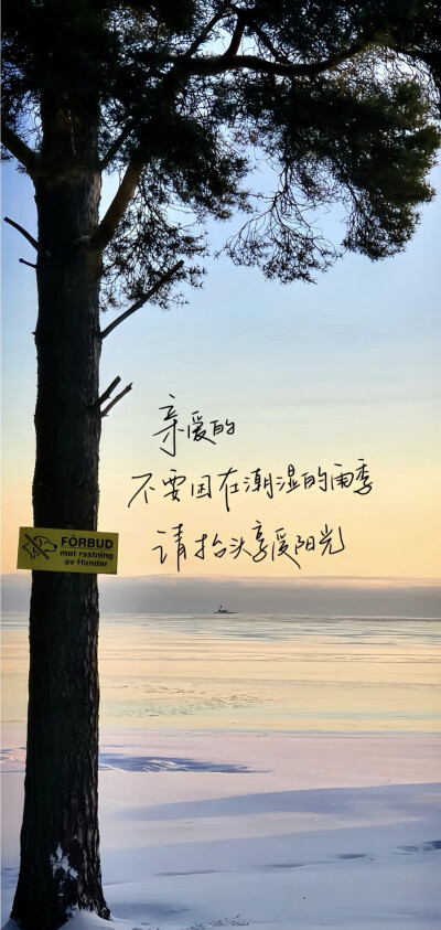 壁纸