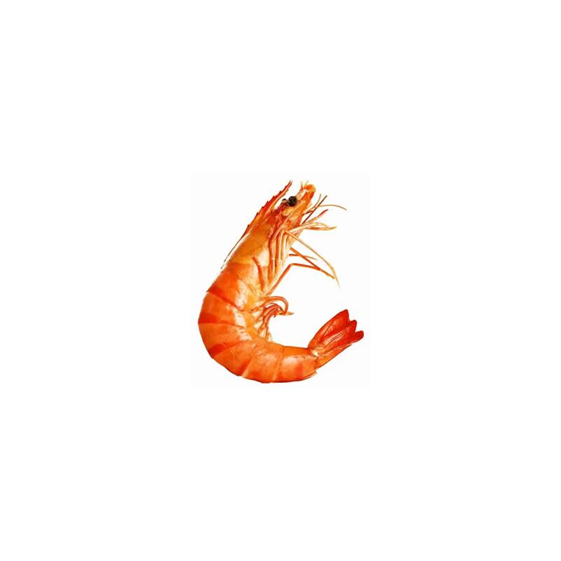 火锅食材白底头像