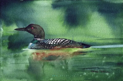 夫卡斯柴可夫基
来自于多人向往的加拿大
他是加拿大watermedia公认
艺术家，有名的讲师
他也是加拿大的一名水彩画协会会员
他的画光芒万丈
运用水彩的特质
水的灵动性，颜色与水的融合
/
以下这两幅作品，…