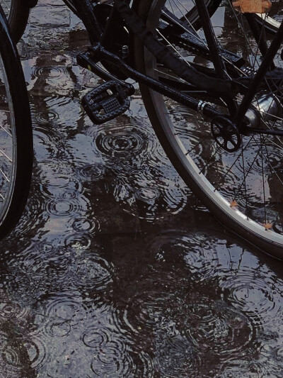 日常
積極悲觀主義